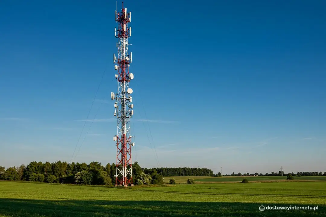 T-Mobile vs Plus — który lepszy do internetu domowego 5G?